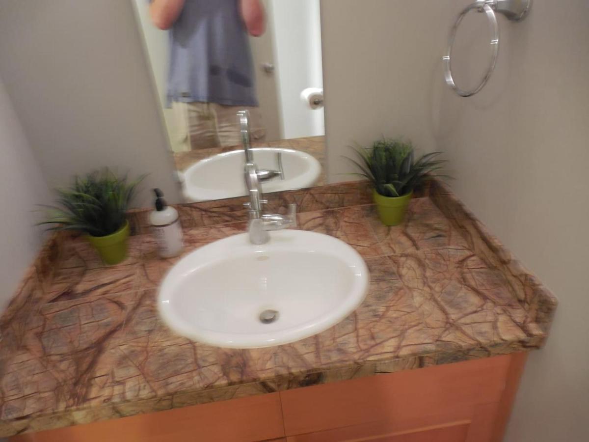 In The Woods, Pets Allowed Apartment